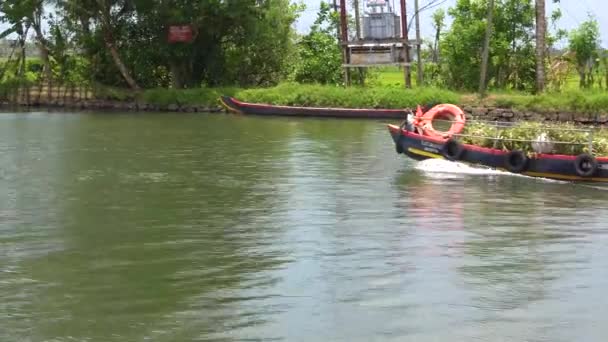 Houseboats Activities River Backwaters Kerala India — Stock Video