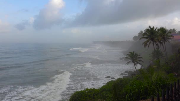 Vagues Rouler Sur Côte Long Côte Kerala Inde — Video