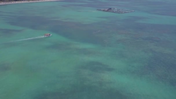 Luchtfoto Boven Dolfijn Zwemmen Centrum Punta Cana Dominicaanse Republiek — Stockvideo