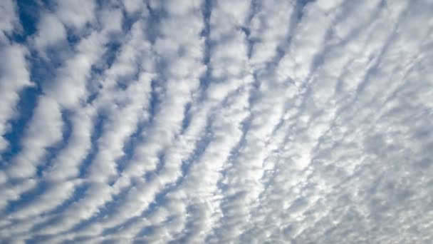 Χρονικό Σφάλμα Shot Από Λευκά Σύννεφα Altocumulus Περνώντας Από Πάνω — Αρχείο Βίντεο