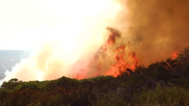 2019 Під Час Печерного Пожежі Санта Барбарі Схилах Пагорбів Південної — стокове відео