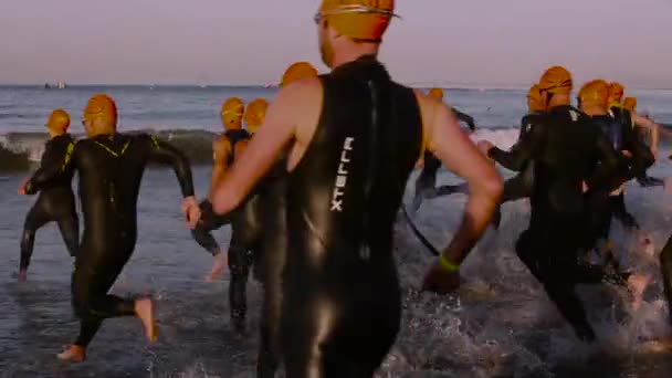 Pływacy Triathlonu Wchodzą Oceanu — Wideo stockowe