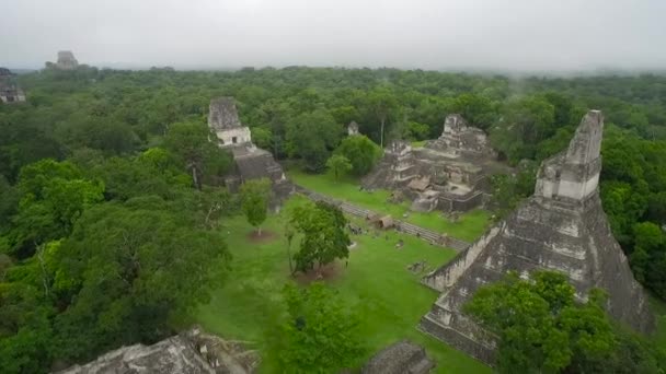 Grande Tiro Aéreo Sobre Pirâmides Tikal Guatemala — Vídeo de Stock