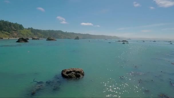 Una Antena Sobre Una Costa Brumosa Cerca Big Sur California — Vídeos de Stock