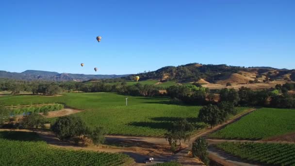 Avión Baja Altura Sobre Filas Viñedos Condado Sonoma Norte California — Vídeos de Stock