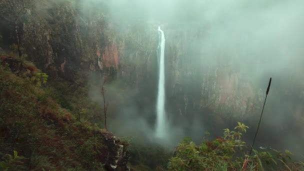 Zeitraffer Der Purlingbrook Falls Springbrook Queensland Australien — Stockvideo