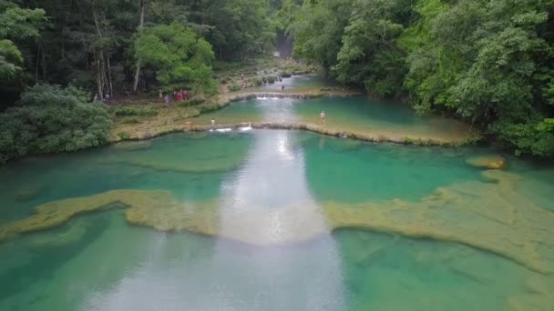 Une Antenne Dessus Chutes Eau Remarquables Des Sondages Verts Sur — Video