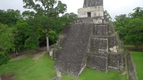 Gran Disparo Aéreo Sobre Las Pirámides Tikal Guatemala — Vídeo de stock