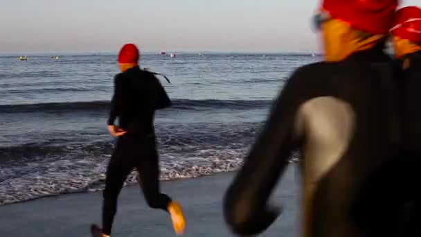 Triathlon Swimmers Enter Ocean — Stock Video