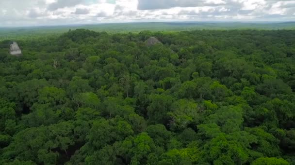 在危地马拉的树梢和Tikal金字塔上方拍摄的壮观的空中照片 — 图库视频影像