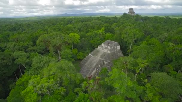 Velkolepé Letecké Záběry Nad Tikal Pyramidy Guatemale — Stock video
