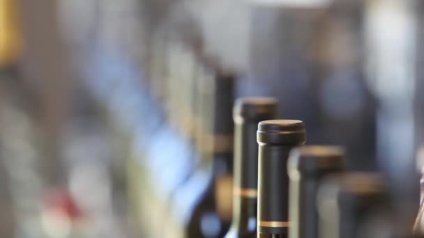 Şarap Şişeleme Fabrikasındaki Montaj Hattı Boyunca Yakın Çekim — Stok video