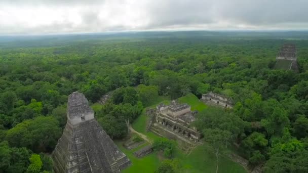 Nagy Légi Felvétel Tikal Piramisok Felett Guatemalában — Stock videók