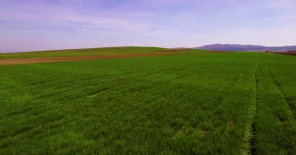Overbebouwde Landbouwgrond Oost Europa — Stockvideo