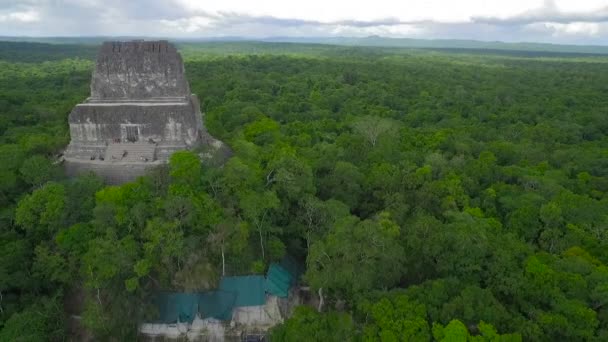 Spectaculaire Luchtfoto Boven Boomtoppen Tikal Piramides Guatemala — Stockvideo