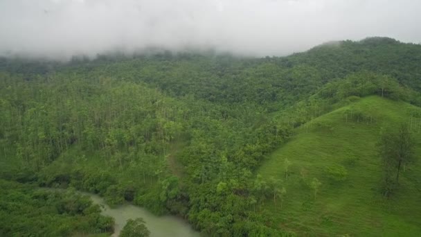 Avión Sobre Río Champey Semuc Guatemala — Vídeo de stock