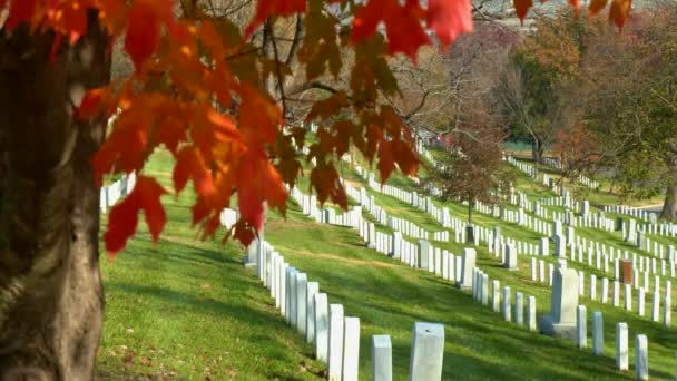 2019 Oprichting Van Grafplaatsen Arlington National Cemetery Washington Met Herfstkleuren — Stockvideo