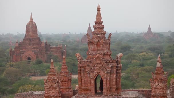 Frumos Apus Soare Spatele Templelor Din Birmania Păgână Bagan Myanmar — Videoclip de stoc