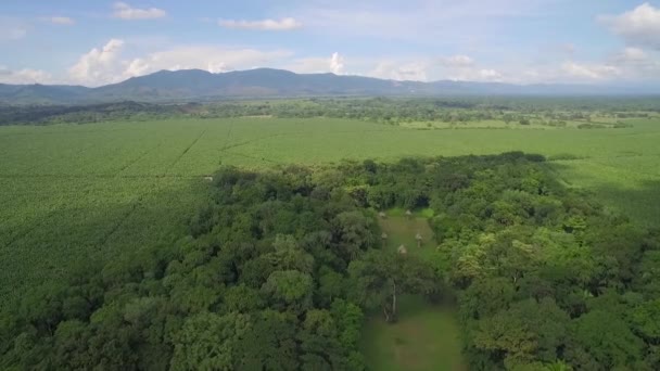 Tiro Aéreo Das Ruínas Maias Quirigua — Vídeo de Stock