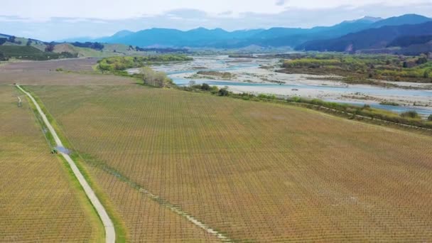 2019 ニュージーランドのワイン生産地域の南島にあるブドウ畑の農場の農地の上空 — ストック動画