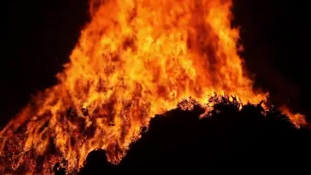 Una Gran Hoguera Arde Por Noche — Vídeo de stock