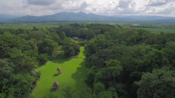 Grande Tiro Aéreo Sobre Pirâmides Tikal Guatemala — Vídeo de Stock
