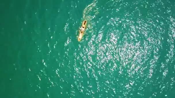 Aéreo Acima Barco Remos Pesca Africano Belas Águas Verdes Oceano — Vídeo de Stock