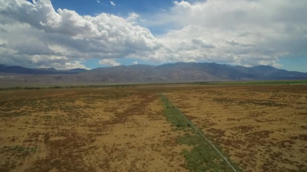 Eine Antenne Über Dem Trockenen Owens Valley Kalifornien Mit Bewässerungslinien — Stockvideo