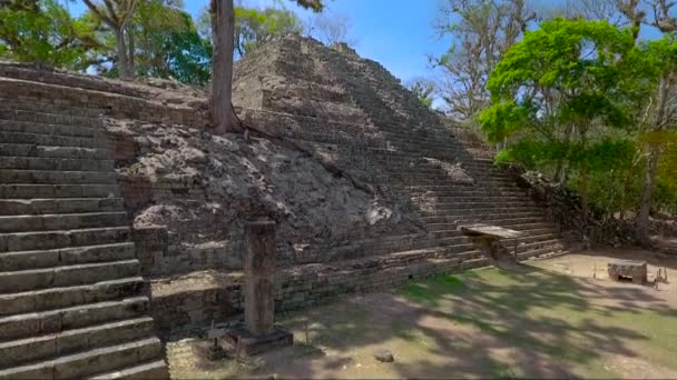 Flyg Över Den Förlorade Staden Miradero Guatemala — Stockvideo