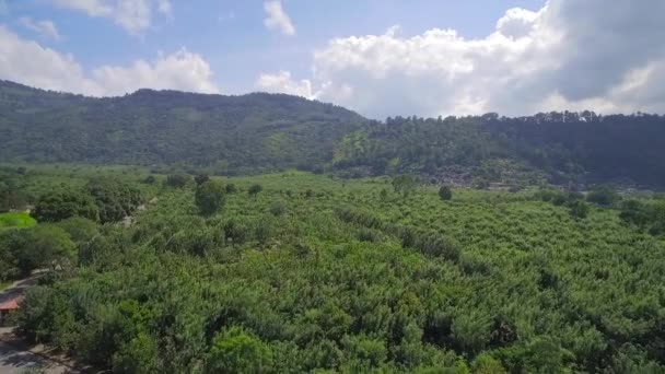 Luftaufnahme Über Den Dschungel Und Den Farmfeldern Guatemalas — Stockvideo