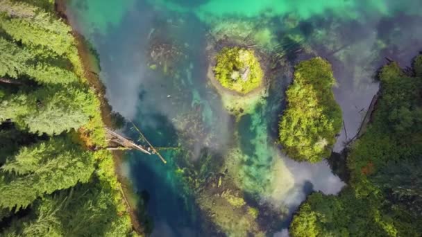 緑の湖や川を真下から見下ろす高い角度の空中写真 — ストック動画