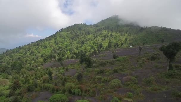 Vzduch Nad Turisty Trekking Svazích Sopky Sopce Pacaya Guatemala — Stock video