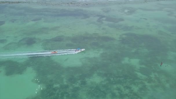 Luchtfoto Boven Toeristen Een Bananenboot Het Boca Chica Strand District — Stockvideo
