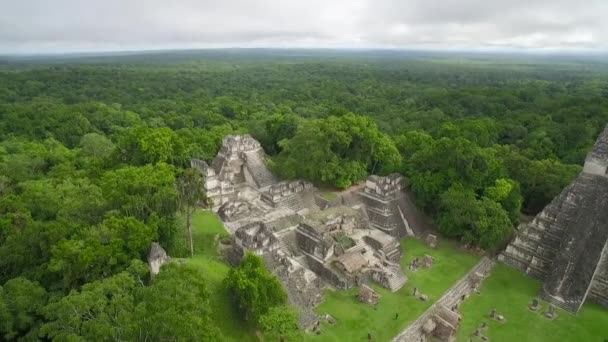 Velký Letecký Záběr Nad Pyramidami Tikal Guatemale — Stock video