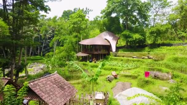 Mudança Aérea Uma Fantástica Casa Arquitetônica Arredondada Nas Selvas Bali — Vídeo de Stock