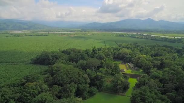 Aerial Shot Mayan Ruins Quirigua — Stock Video