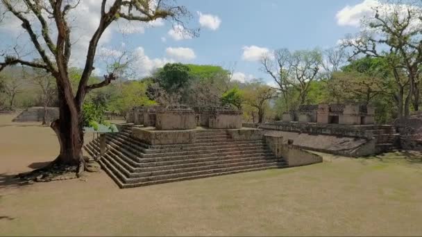 Flyg Över Den Förlorade Staden Miradero Guatemala — Stockvideo