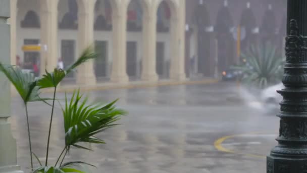在古巴的一场大风暴中大雨倾盆 — 图库视频影像