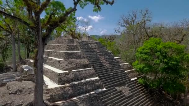 Flyg Över Den Förlorade Staden Miradero Guatemala — Stockvideo