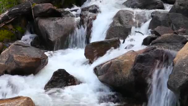 小溪或河流流过大石头 — 图库视频影像