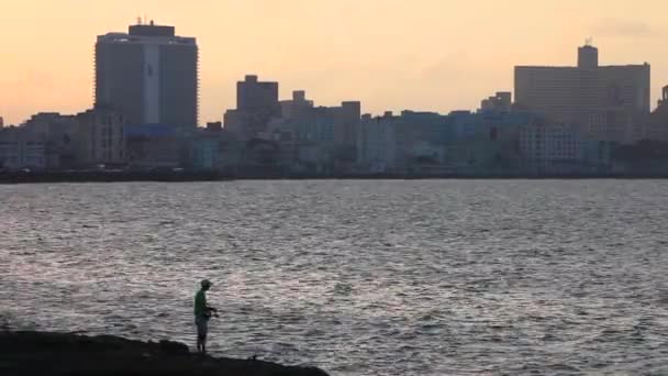 Rybak Stoi Przed Panoramą Hawany Kubie — Wideo stockowe