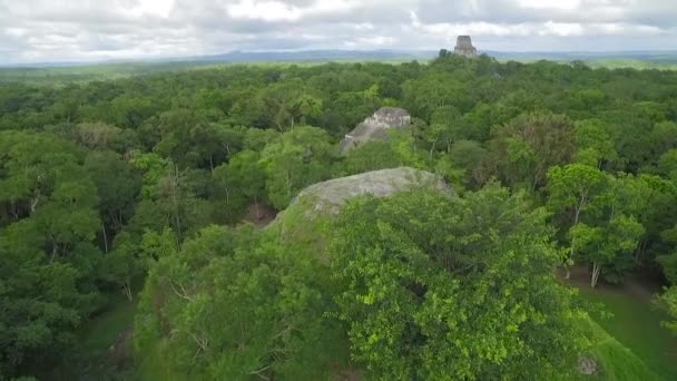 Velkolepé Letecké Střely Přes Vrcholky Stromů Tikal Pyramidy Guatemale — Stock video