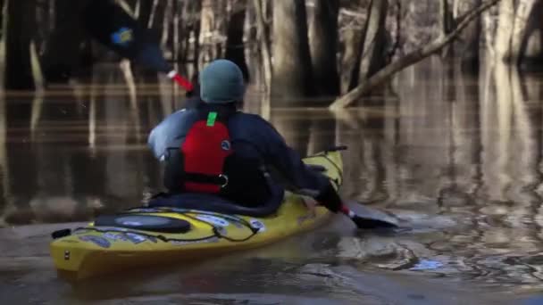 在南卡罗来纳州的Congaree国家公园的荒原上 许多皮划艇手划着桨划过的镜头 — 图库视频影像