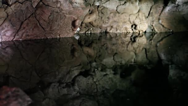 Fledermäuse Fliegen Nachts Eine Höhle Mit Pool — Stockvideo