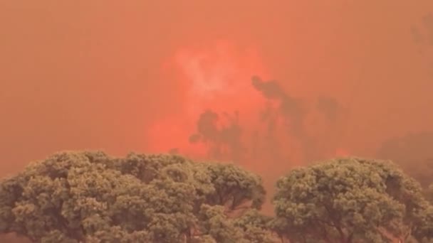 Fogo Selvagem Agita Cume Montanha — Vídeo de Stock