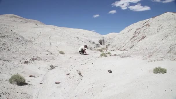 徒步旅行者探索亚利桑那州的石化森林国家公园 — 图库视频影像