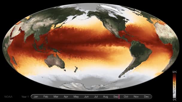 Una Visualizzazione Globale Animata Mostra Temperatura Della Superficie Del Mare — Video Stock