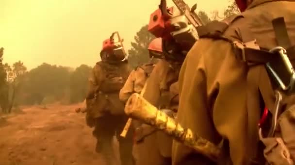 消防员扑灭森林大火 — 图库视频影像