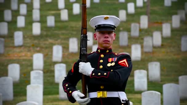 Various Men Different Branches Military Engage Rifle Spinning Drill Front — Stock Video