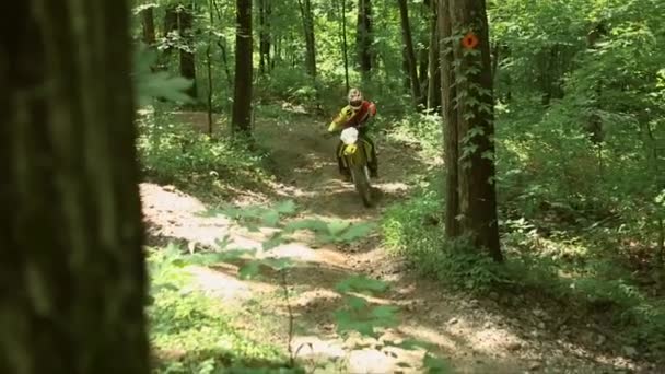 Motociclistas Levantan Sendero Montaña Través Bosque — Vídeos de Stock